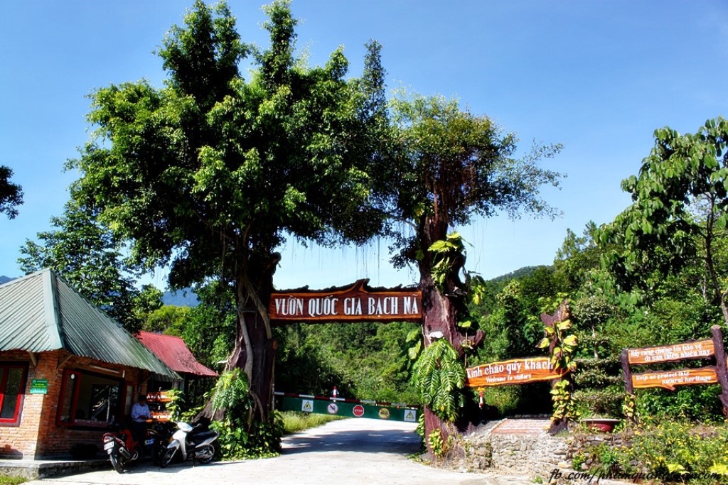 Bach Ma National Park- Best Hue City Tour Travel