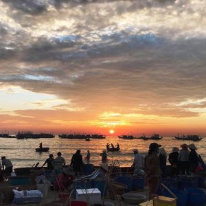 Hoi An Sunrise Fish Market Tour - Best Hue City Tour