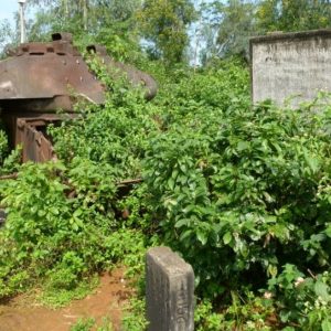 Hoi An to Vinh Moc Tunnels Private Car- Best Hue City Tour Travel