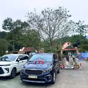Da Nang to My Son Sanctuary Private Car - Best Hue City Tour
