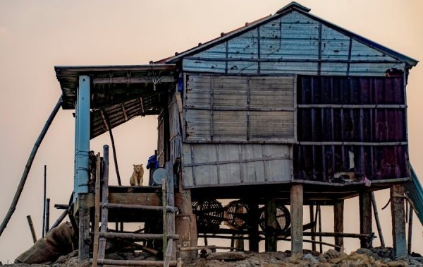 Sunrise on Tam Giang Lagoon Tour- Best Hue City Tour Travel