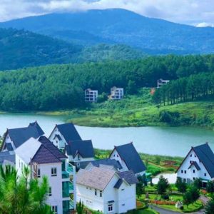 Da Nang to Dalat By Private Car- Best Hue City Tour Travel