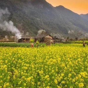 Hanoi To Ha Giang By Private Car Service - Best Hue City Tour