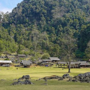 Hanoi To Moc Chau Car Transfer - Best Hue City Tour