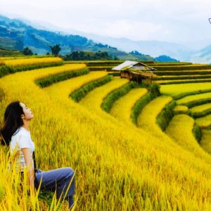 Hanoi To Mu Cang Chai By Private Car Transfer - Best Hue City Tour