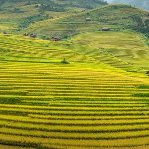 Hanoi To Sapa By Car - Best Hue City Tour