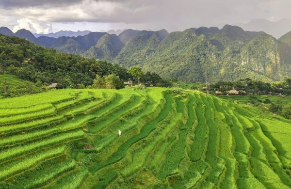 Halong Bay to Mai Chau by private car- Best Hue City Tour Travel