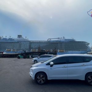 Tien Sa Port To Hoi An Private Car - Best Hue City Tour