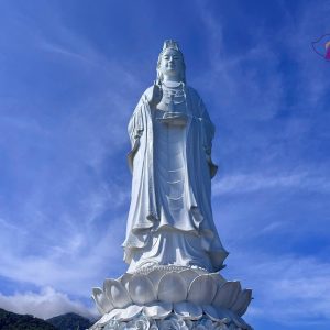 Tien Sa Port To Hoi An Private Car - Best Hue City Tour