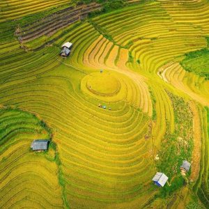 Sapa to Mu Cang Chai by private car- Best Hue City Tour Travel