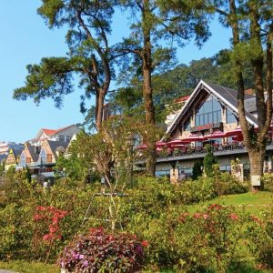 Travel From Hanoi To Tam Dao By Private Car- Best Hue City Tour