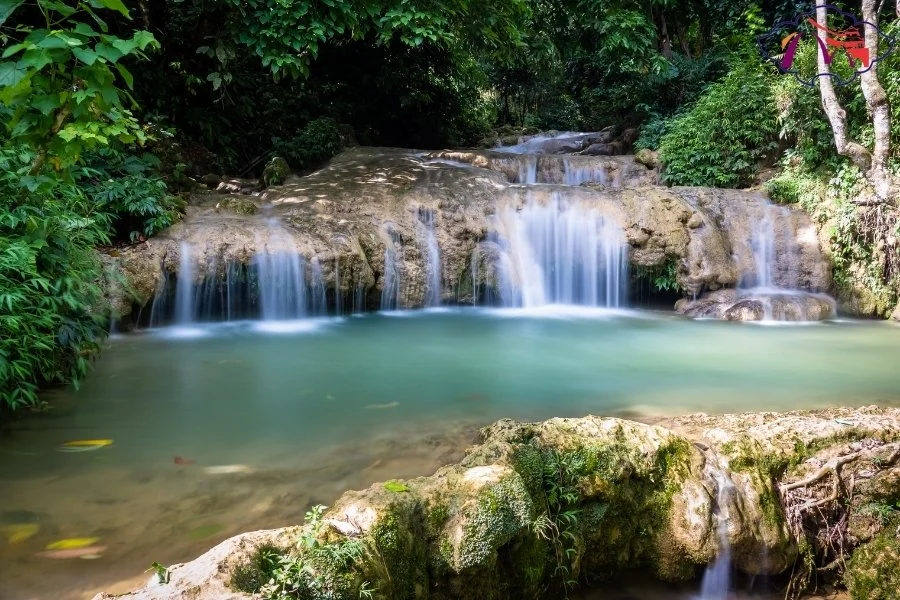 Moc Chau To Pu Luong By Car - Best Hue City Tour