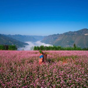 Private Car From Pu Luong To Ha Giang - Best Hue City Tour