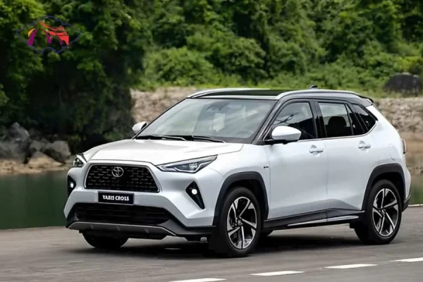 Ho Chi Minh to Cai Be private car - Best Hue City Tour Travel