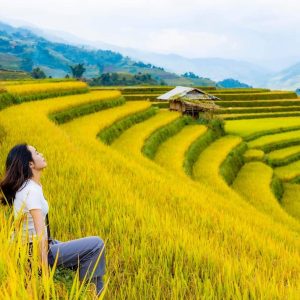 Hai Phong To Mu Cang Chai Private Car - Best Hue City Tour