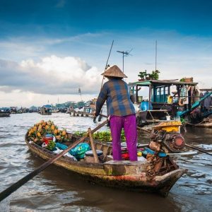 Ho Chi Minh To Mekong Delta Private Car - Best Hue City Tour