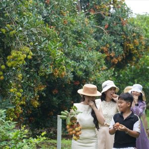 Ho Chi Minh To Mekong Delta By Car - Best Hue City Tour