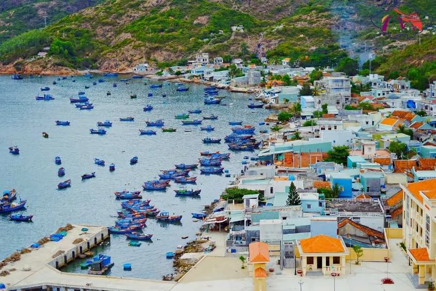 Nha Trang To Quy Nhon By Car - Best Hue City Tour