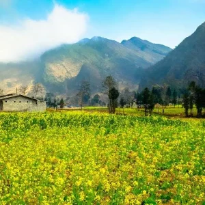 Cat Ba Island To Ha Giang By Car Transfer - Best Hue City Tour