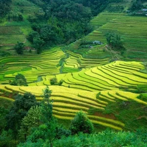 Cat Ba Island To Ha Giang By Car Transfer - Best Hue City Tour