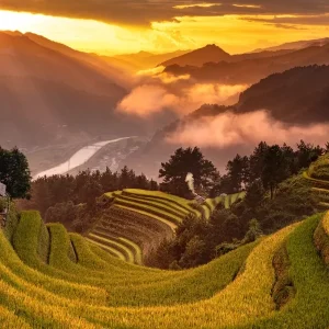 Halong Bay To Mu Cang Chai By Car - Best Hue City Tour