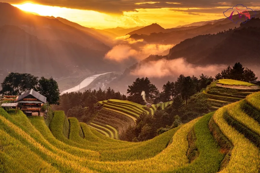 Halong Bay To Mu Cang Chai By Car - Best Hue City Tour