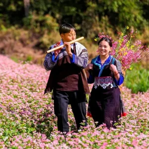 Halong Bay To Mu Cang Chai By Private Car Transfer - Best Hue City Tour
