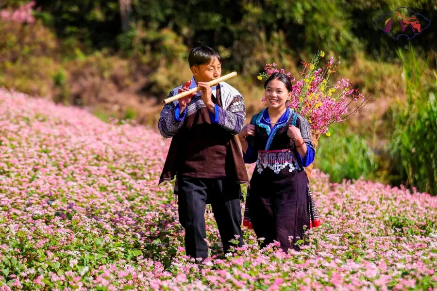Halong Bay To Mu Cang Chai By Private Car Transfer - Best Hue City Tour