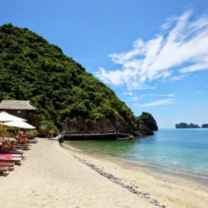 Ninh Binh To Cat Ba Island By Private Car Transfer - Best Hue City Tour