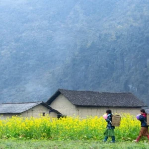 Private car Cao Bang to Ha Giang - Best Hue City Tour
