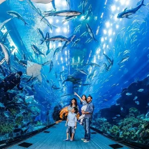 Dalat to Nha Trang by car - Best Hue City Tour