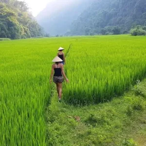 Pu Luong To Mai Chau Private Car Transfer - Best Hue City Tour