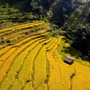 Hai Phong to Cao Bang private car - Best Hue City Tour