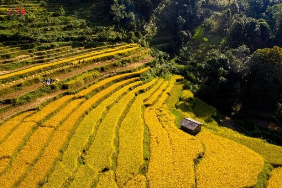 Hai Phong to Cao Bang private car - Best Hue City Tour