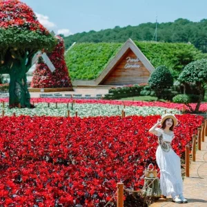 Private Car Quy Nhon to Dalat - Best Hue City Tour