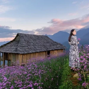 Private car Sapa to Cat Ba Island - Best Hue City Tour